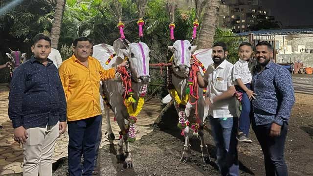 development-insights