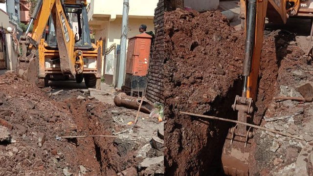 development-insights